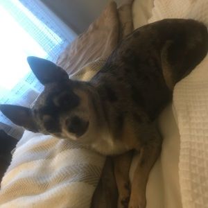 Meet your Posher, Kelli